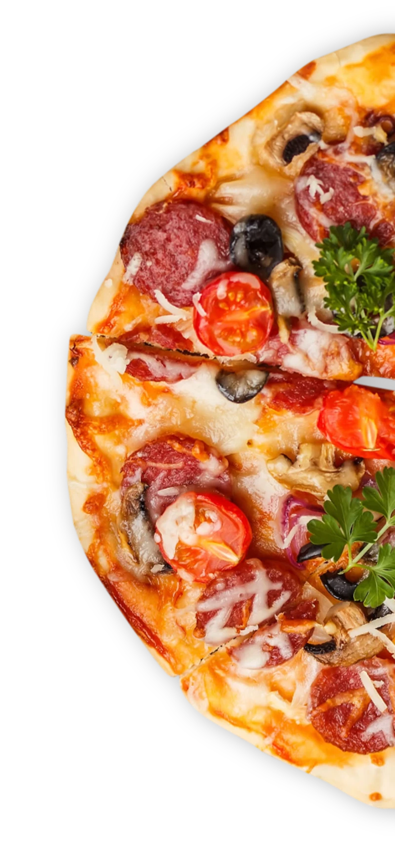 pizzaflow-hero-image-1